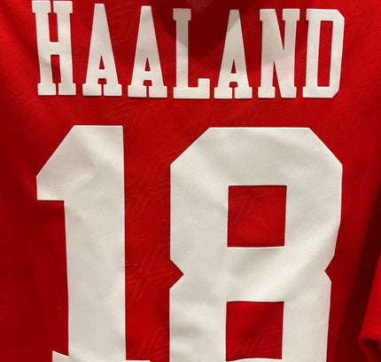 Nottingham Forrest home 1994/1996 #18 Haaland (L) 8/10